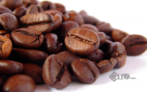 ROBUSTA - LINH HỒN CÀ PHÊ VIỆT NAM